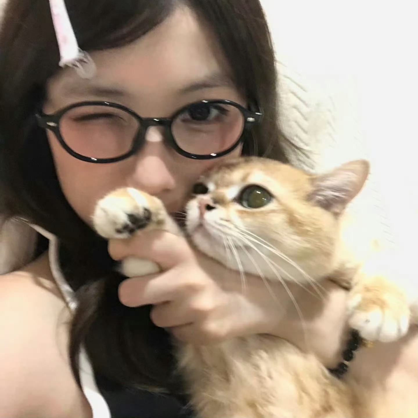 Various Cupcakes Designs